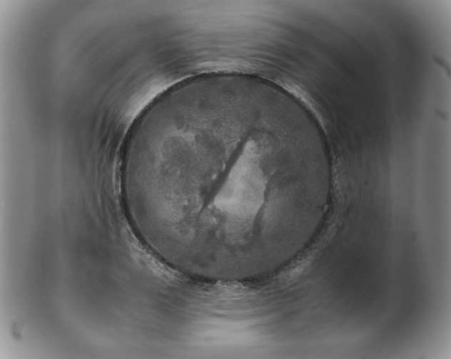 X0000103130983200808221150