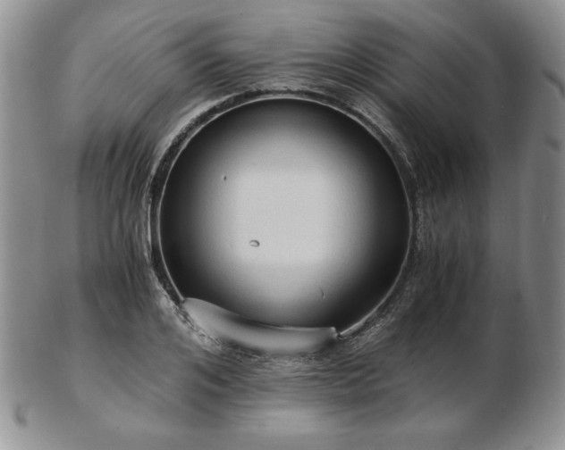 X0000103130984200808221150