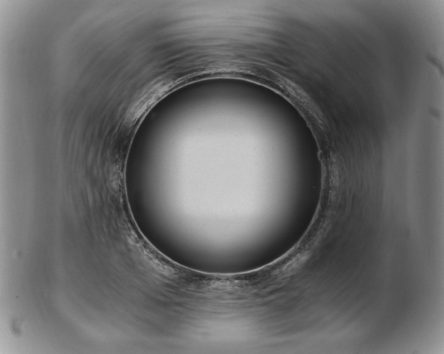 X0000103130985200808221150
