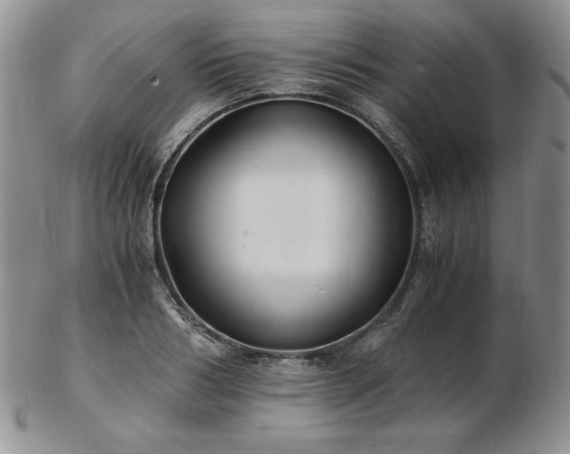 X0000103130986200808221150