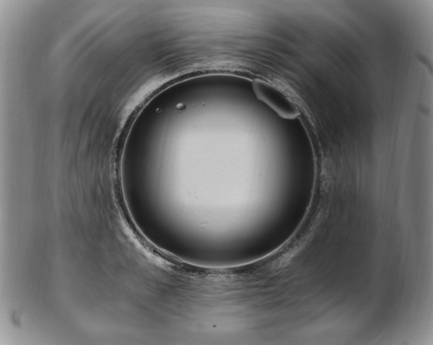 X0000103130989200808221150