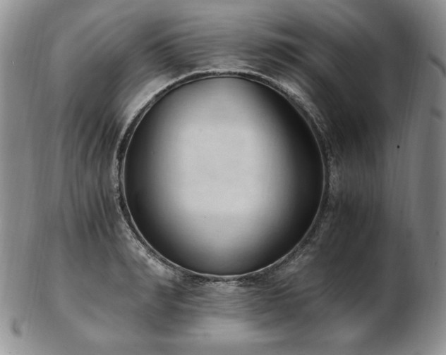 X0000103130990200808221150