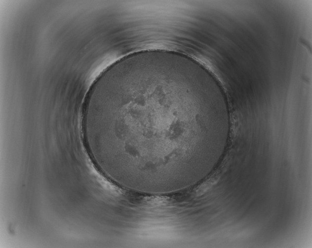 X0000103130991200808221150