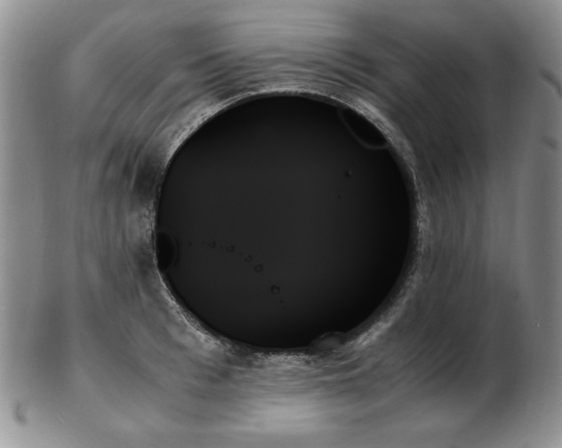 X0000103130993200808221150