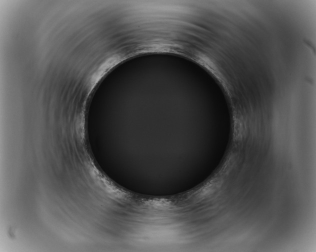 X0000103130994200808221149