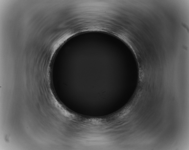 X0000103130995200808221149
