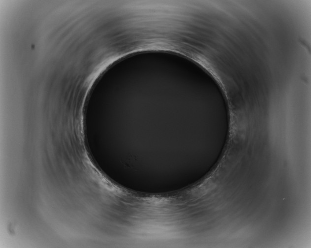 X0000103130996200808221149