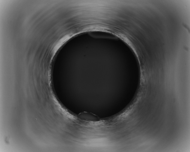 X0000103130997200808221149