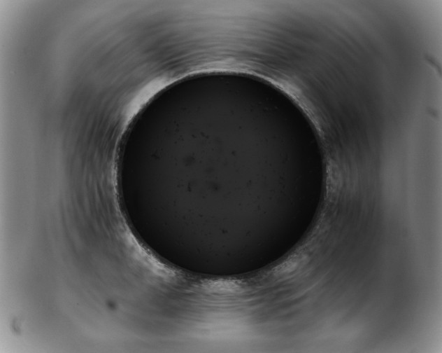 X0000103130998200808221149