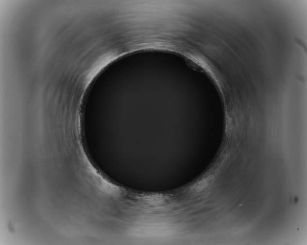 X0000103130999200808221149