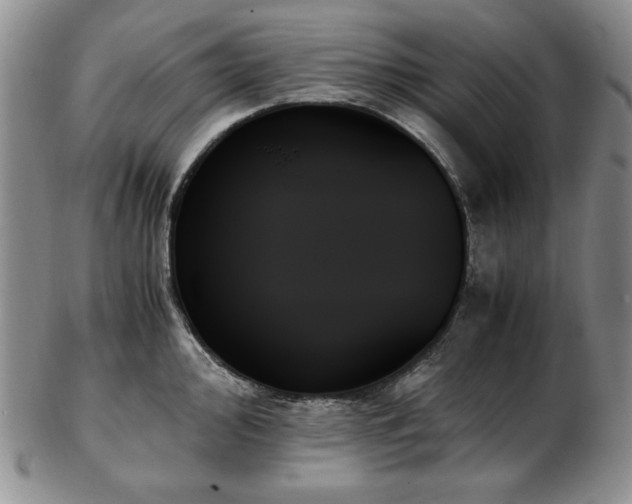 X0000103131000200808221149