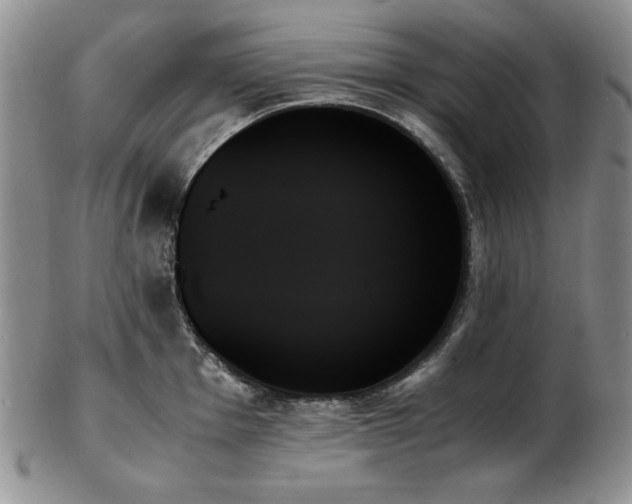 X0000103131001200808221149
