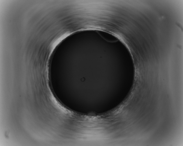 X0000103131003200808221149