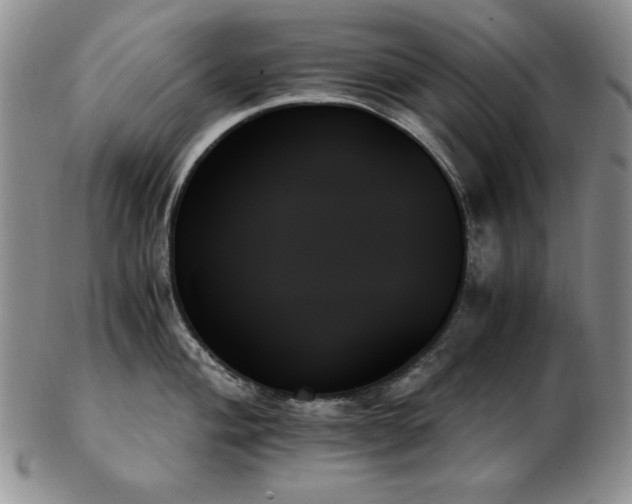 X0000103131004200808221149