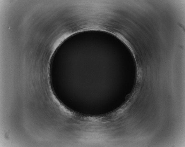 X0000103131005200808221149