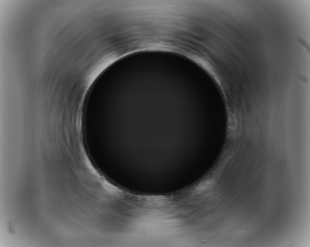 X0000103131007200808221149
