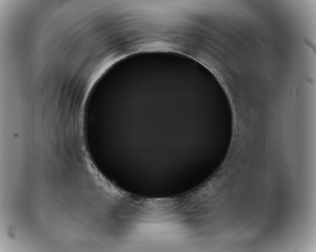 X0000103131008200808221149