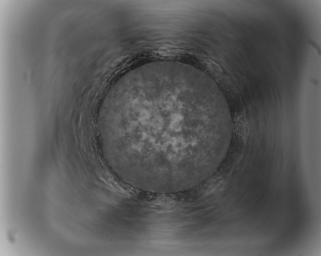 X0000103131009200808221149