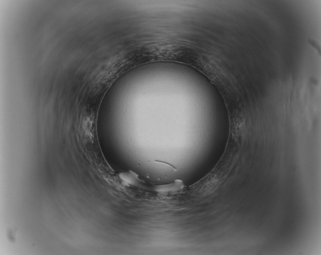 X0000103131010200808221149