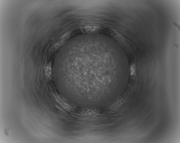 X0000103131011200808221149