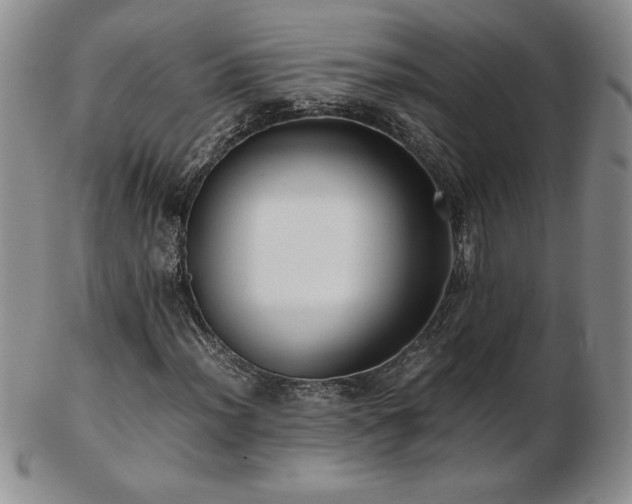 X0000103131012200808221149