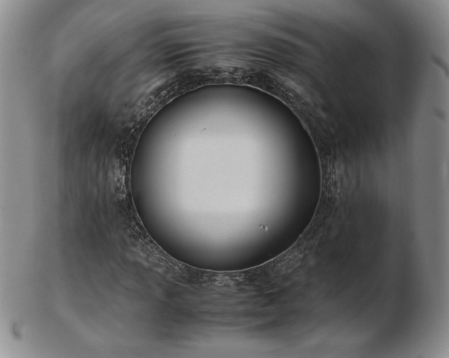 X0000103131013200808221149
