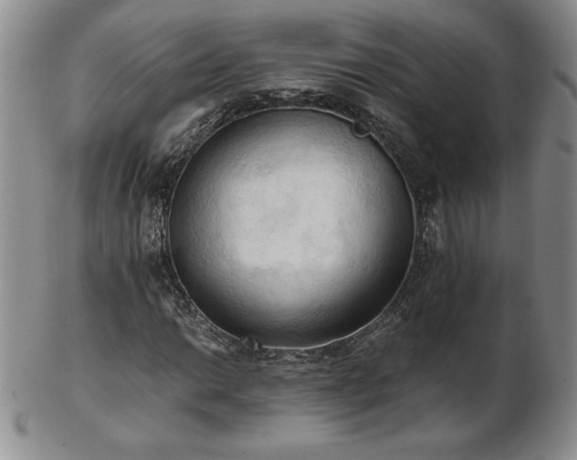 X0000103131014200808221149