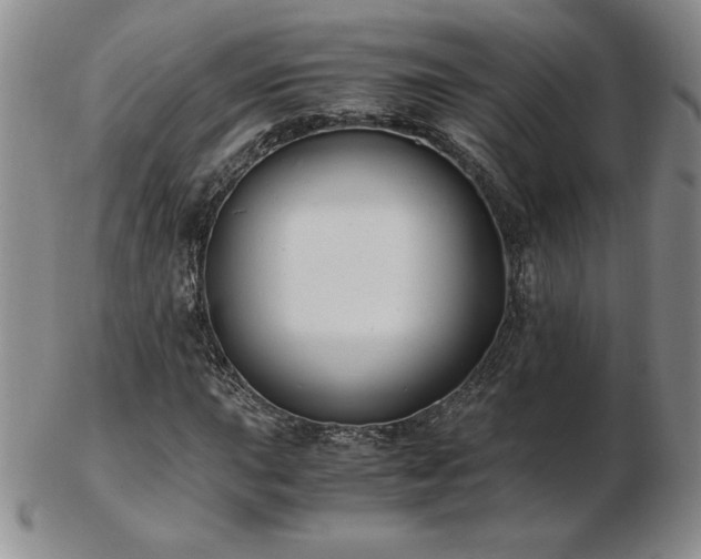 X0000103131015200808221149
