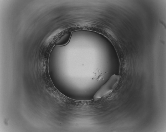 X0000103131016200808221149