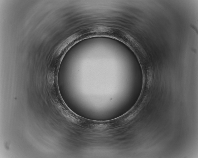 X0000103131017200808221149