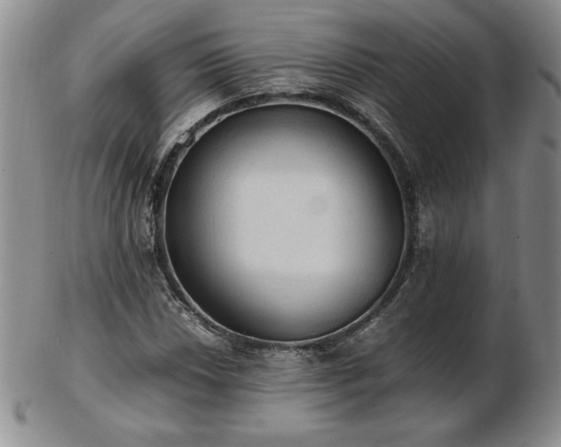 X0000103131018200808221149