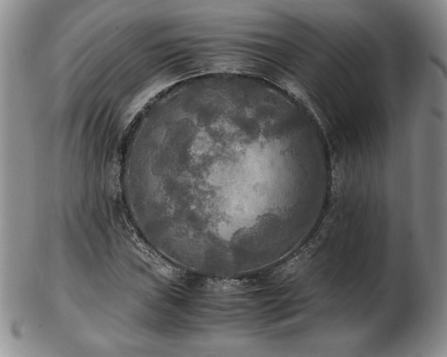 X0000103131019200808221149