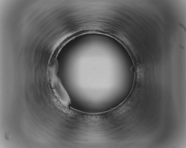 X0000103131020200808221149