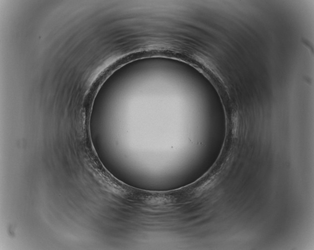 X0000103131021200808221149