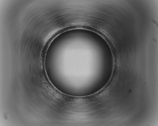 X0000103131022200808221149
