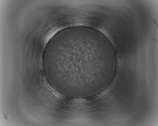 X0000103131023200808221149