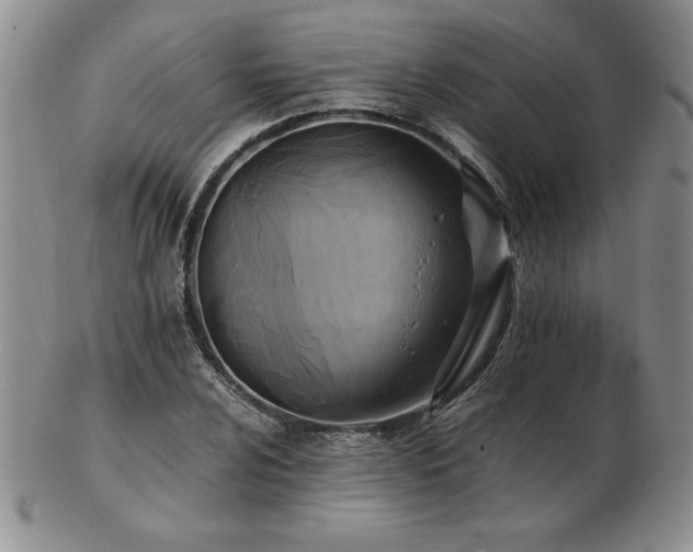 X0000103131024200808221149