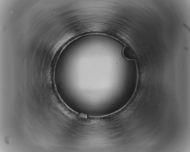 X0000103131026200808221149