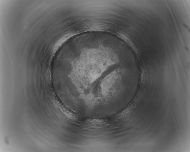 X0000103131027200808221149