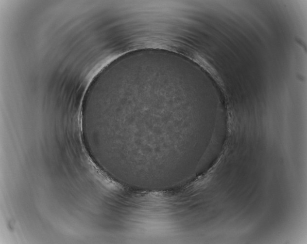 X0000103131028200808221149