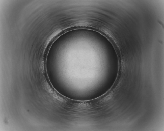 X0000103131029200808221149