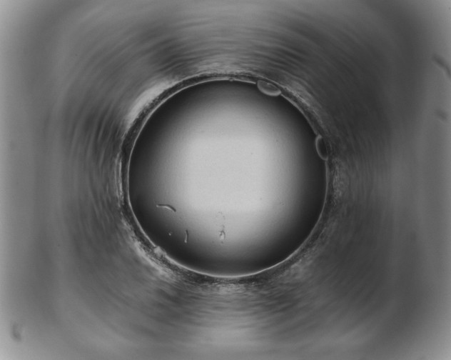 X0000103131030200808221149