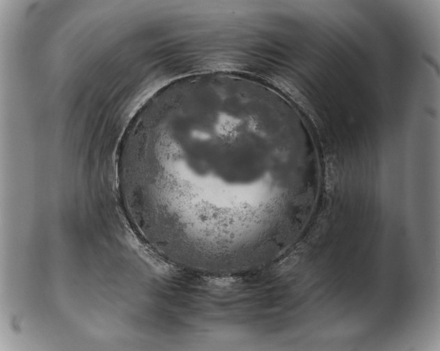 X0000103131031200808221149