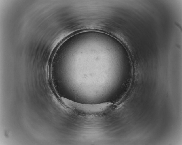 X0000103131032200808221149