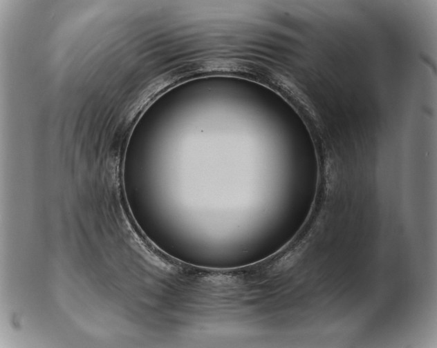 X0000103131033200808221149