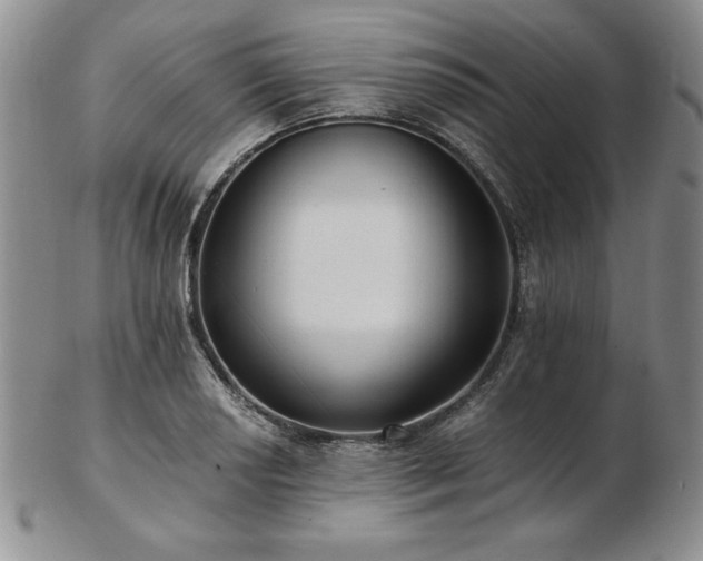 X0000103131034200808221149