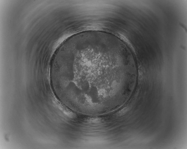 X0000103131035200808221149