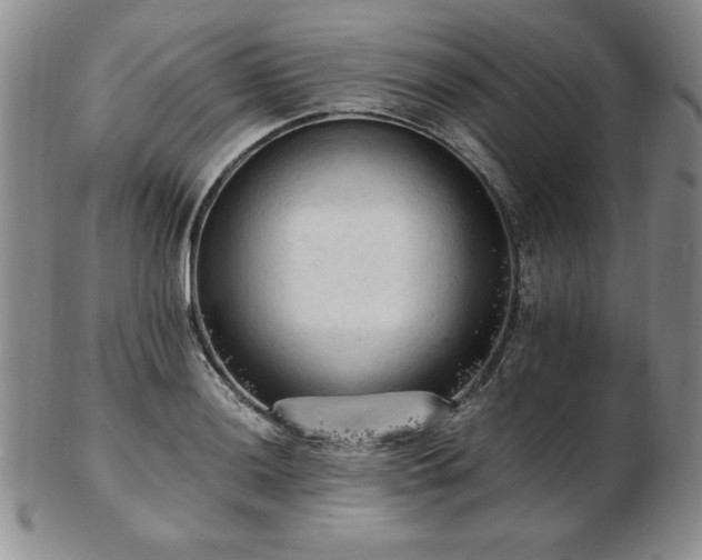 X0000103131036200808221149