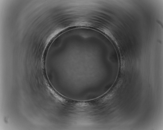 X0000103131037200808221149