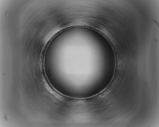 X0000103131038200808221149